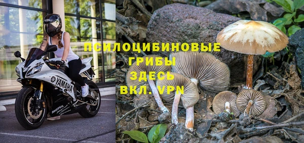мяу мяу кристалл Алексин