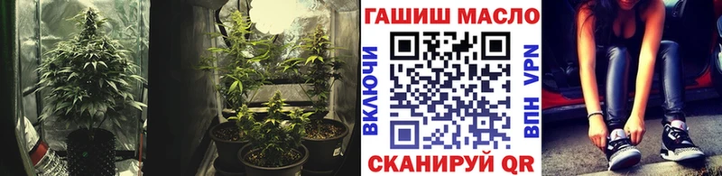 mega маркетплейс Микунь Дистиллят ТГК Wax