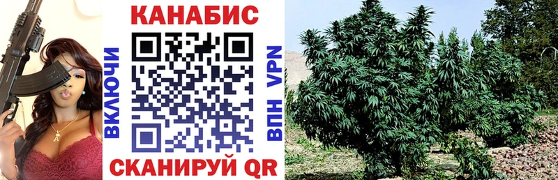 как найти наркотики  Микунь  Канабис планчик 